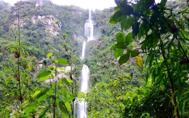 Cascade de La Chorrera : Un joyau naturel à deux pas de Bogotá Sentier andin vers la cascade de La Chorrera foret de brouillard ponts en bois et randonnee